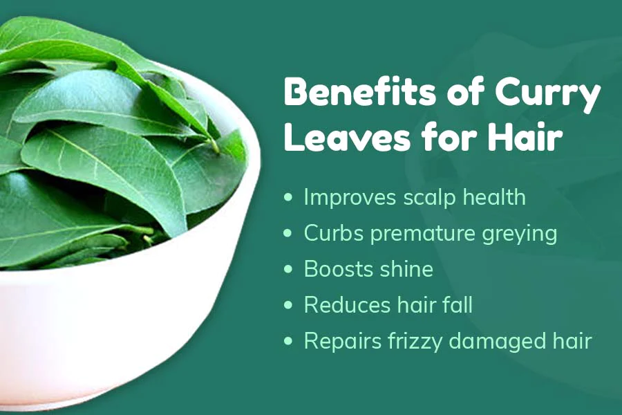 Curry Leaves & Coconut oil